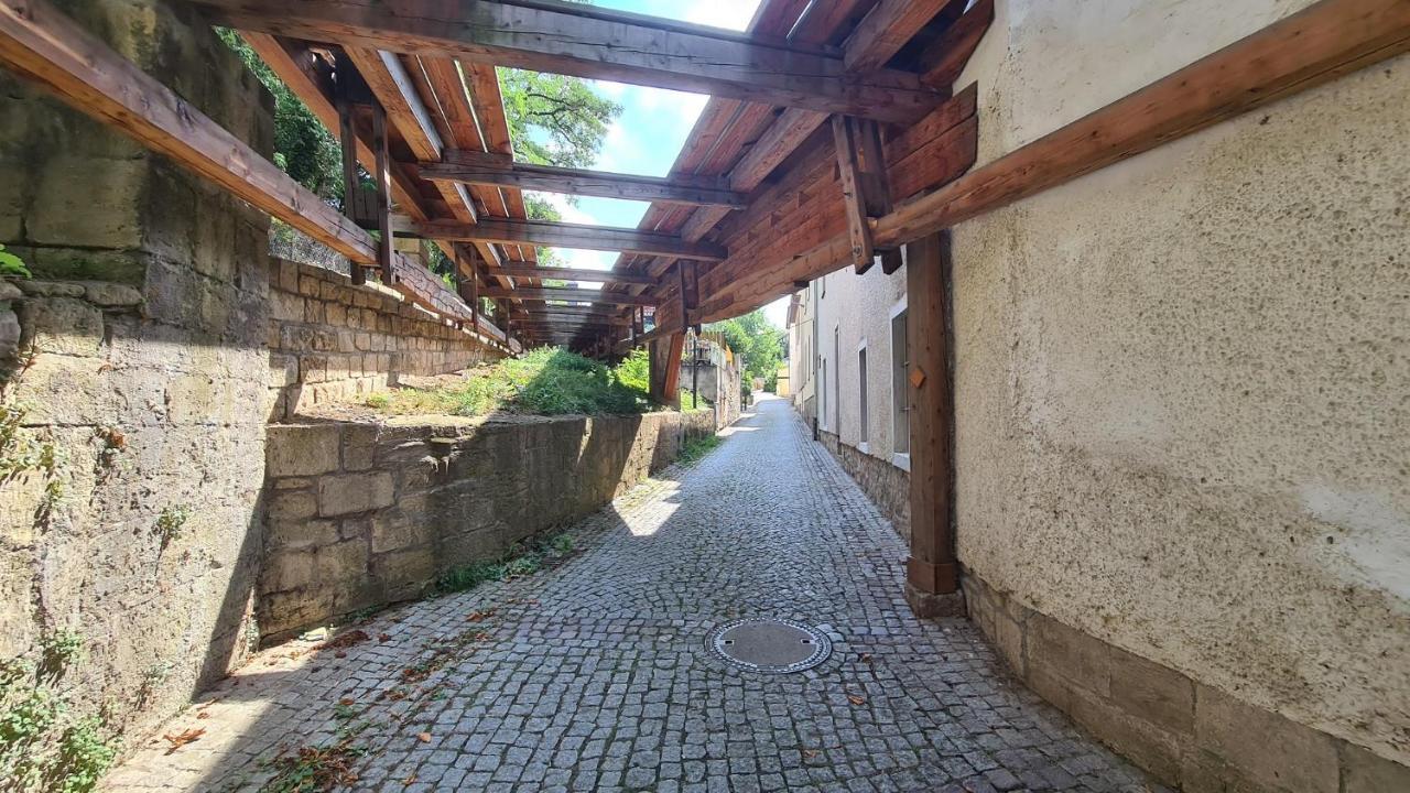 Ferienwohnung Saalemaus Наумбург Екстер'єр фото